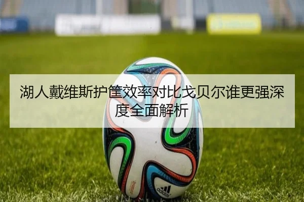 湖人戴维斯护筐效率对比戈贝尔谁更强深度全面解析
